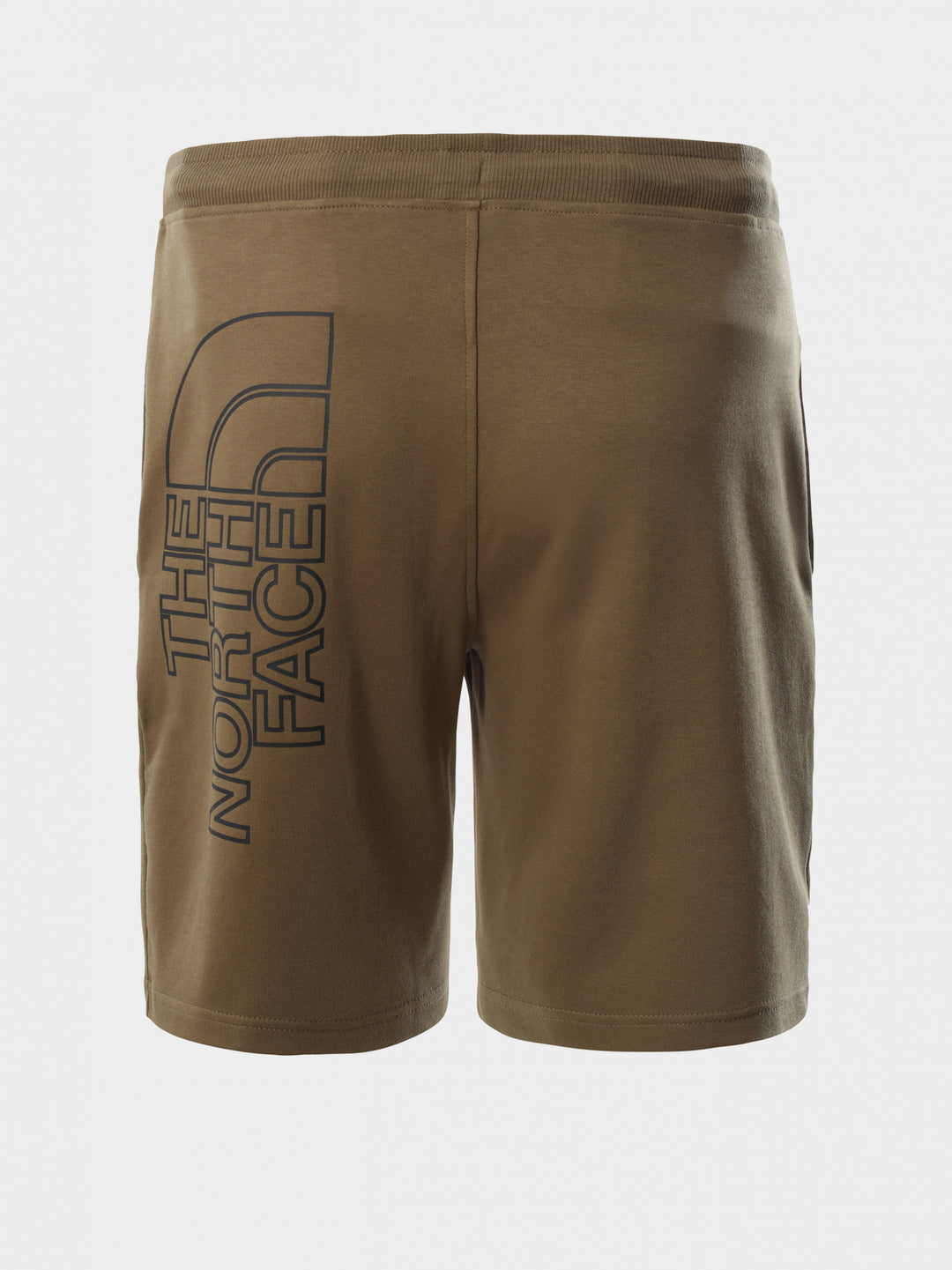 The North Face Graphic Light Shorts Green