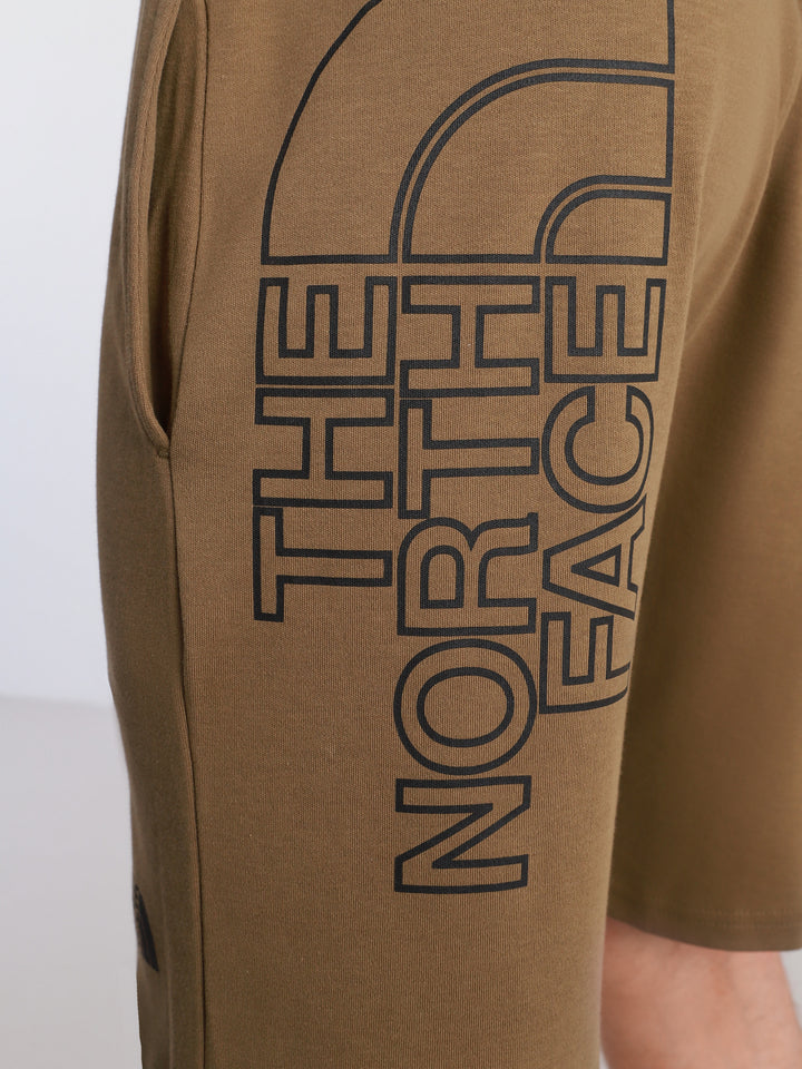 The North Face Graphic Light Shorts Green